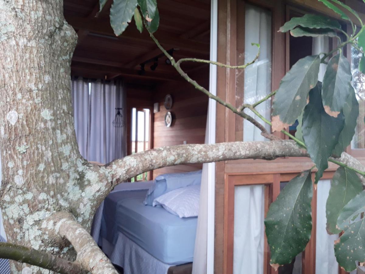 Charmosa Casa Da árvore Na Brava *
