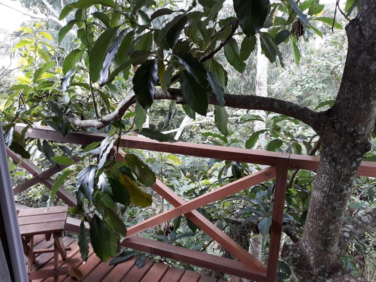 Charmosa Casa Da árvore Na Brava Lodge *